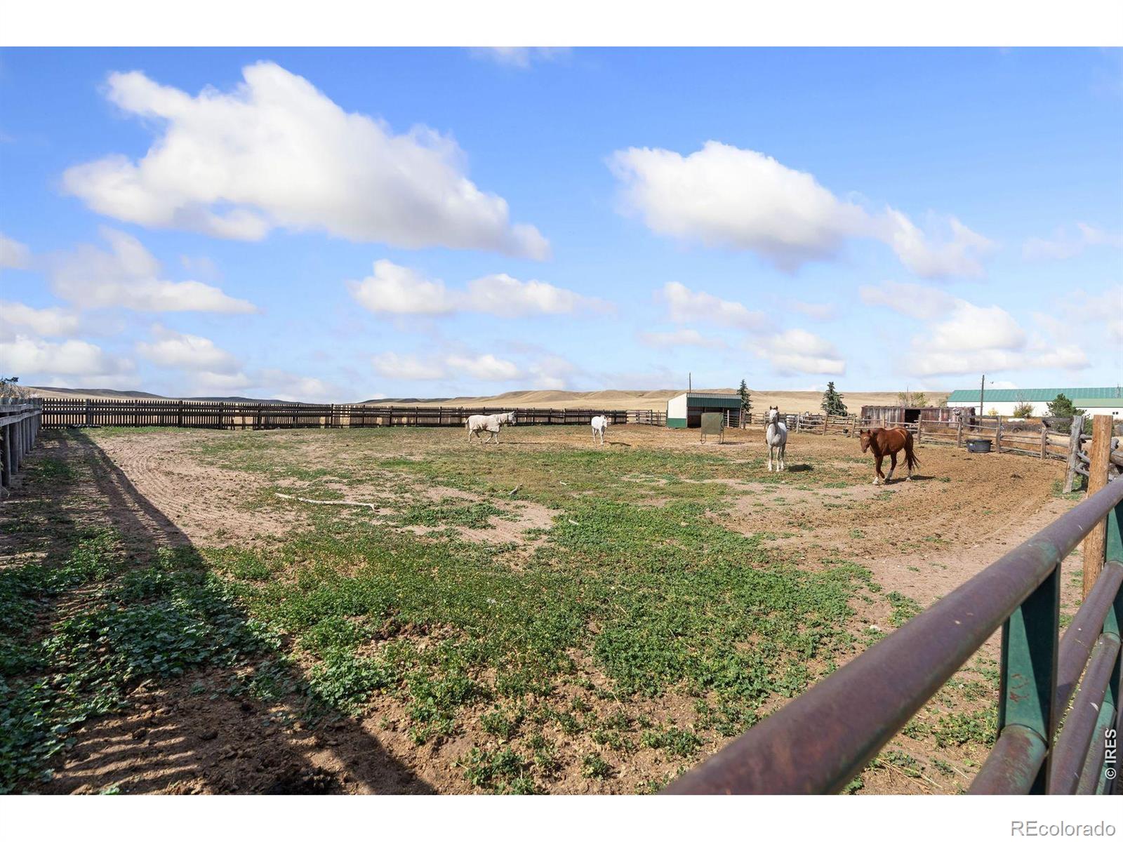 MLS Image #18 for 70521  county road 138 ,carr, Colorado