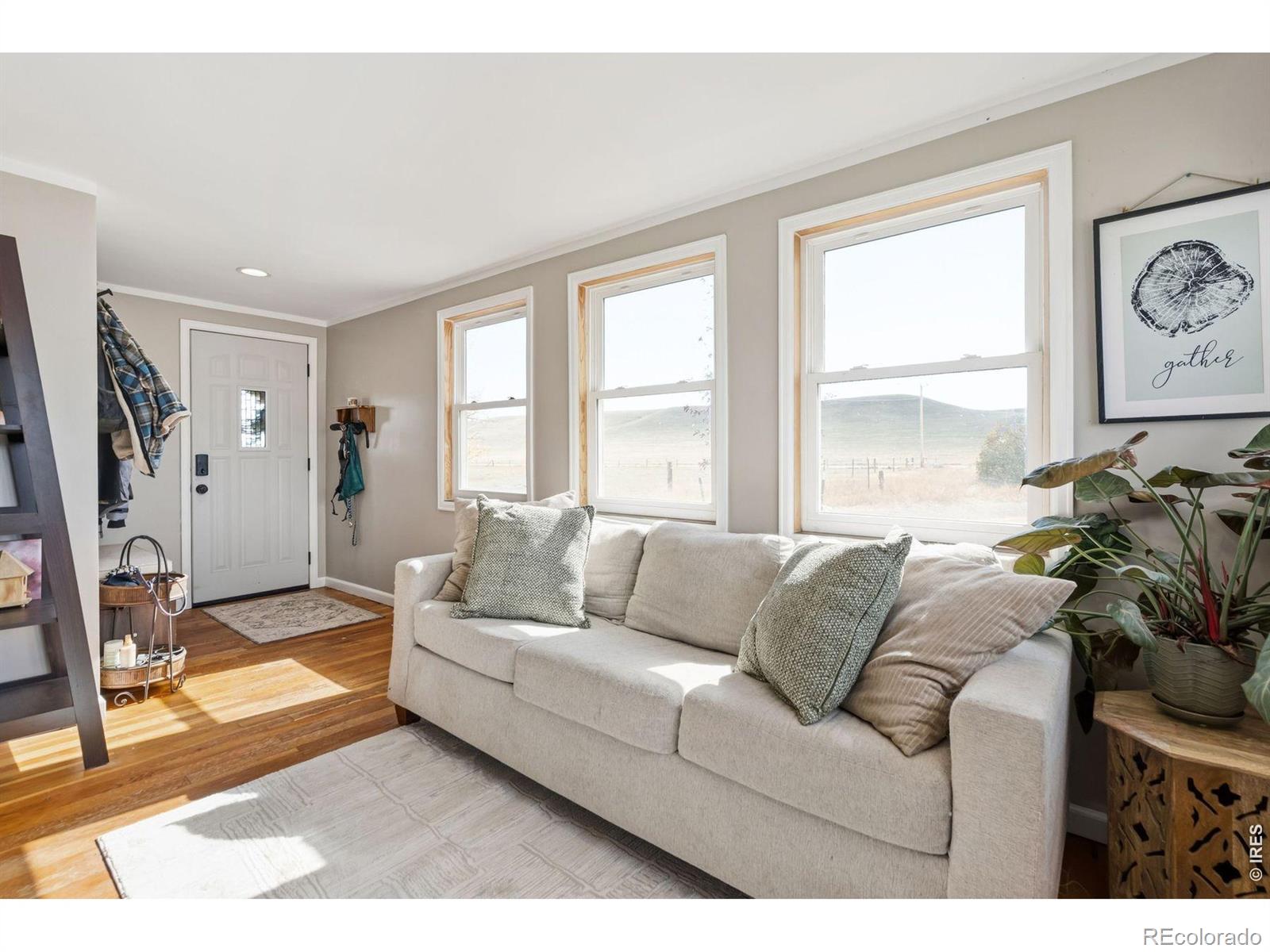 MLS Image #3 for 70521  county road 138 ,carr, Colorado