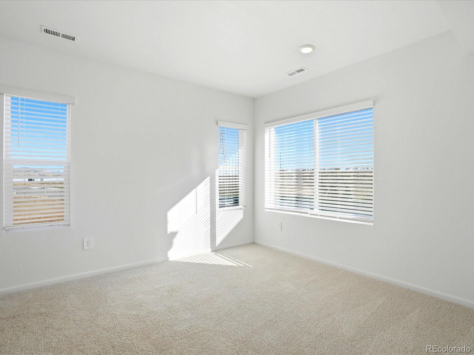 MLS Image #3 for 4701  talley street,morrison, Colorado