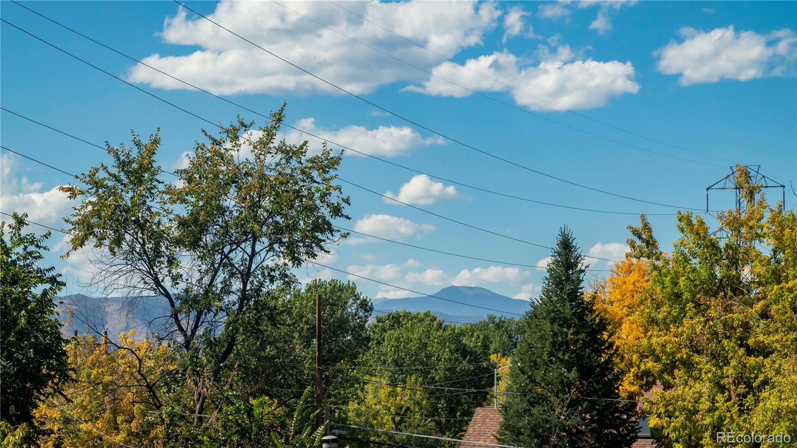 MLS Image #27 for 5154  dudley street,arvada, Colorado
