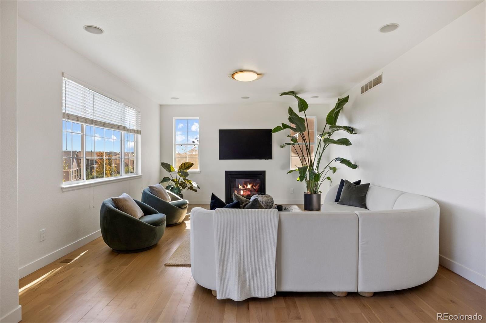 MLS Image #16 for 10236  greenfield circle,parker, Colorado