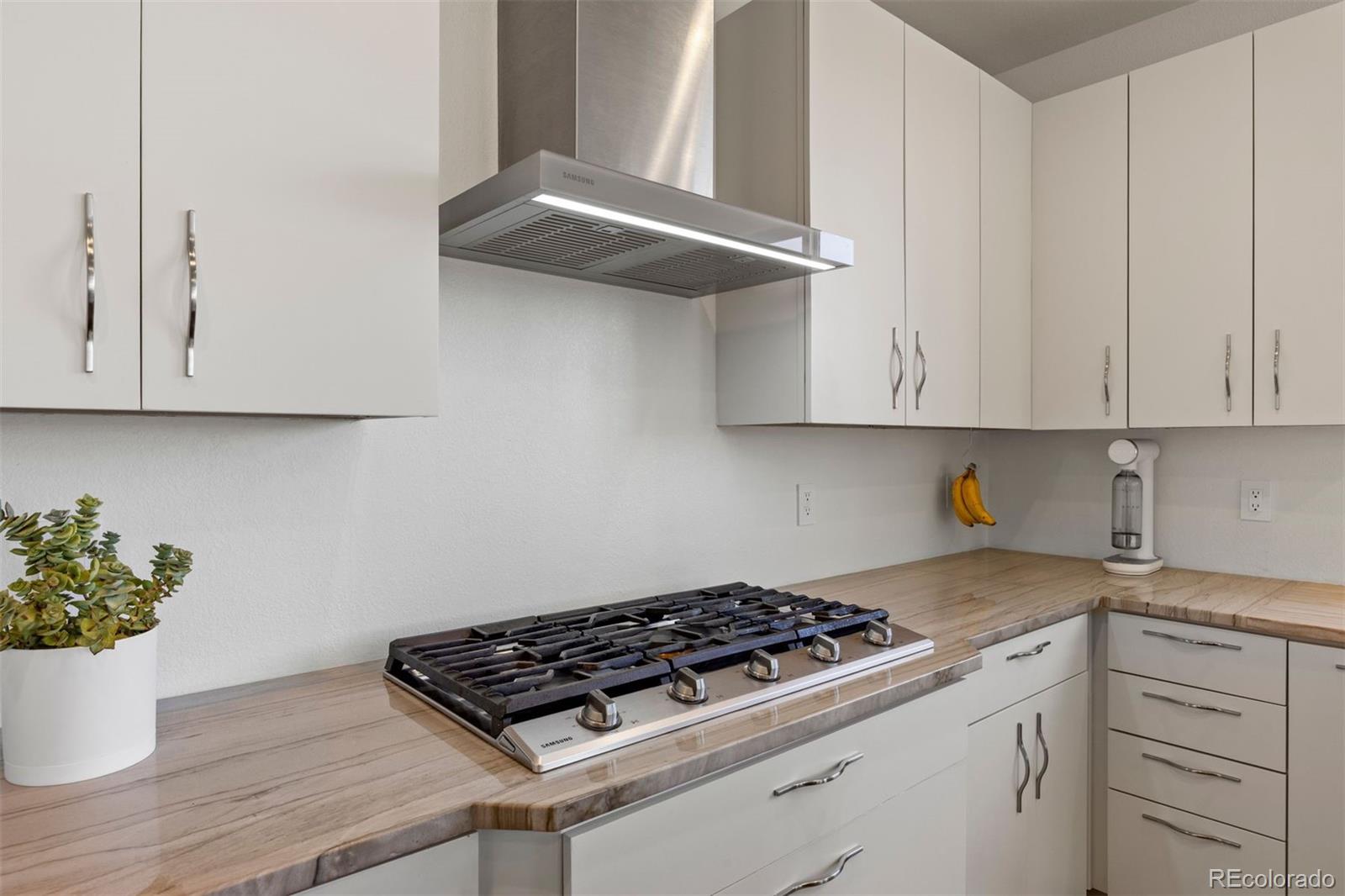 MLS Image #9 for 10236  greenfield circle,parker, Colorado