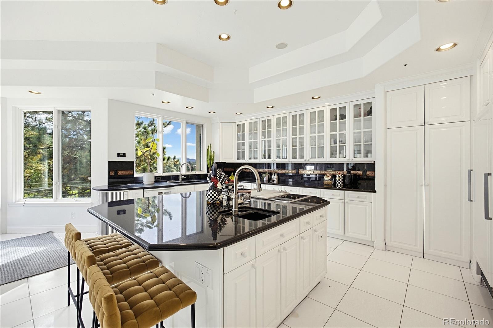 MLS Image #11 for 173  ramshorn drive,castle rock, Colorado