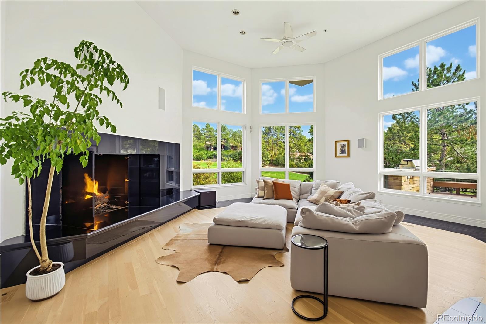 MLS Image #14 for 173  ramshorn drive,castle rock, Colorado