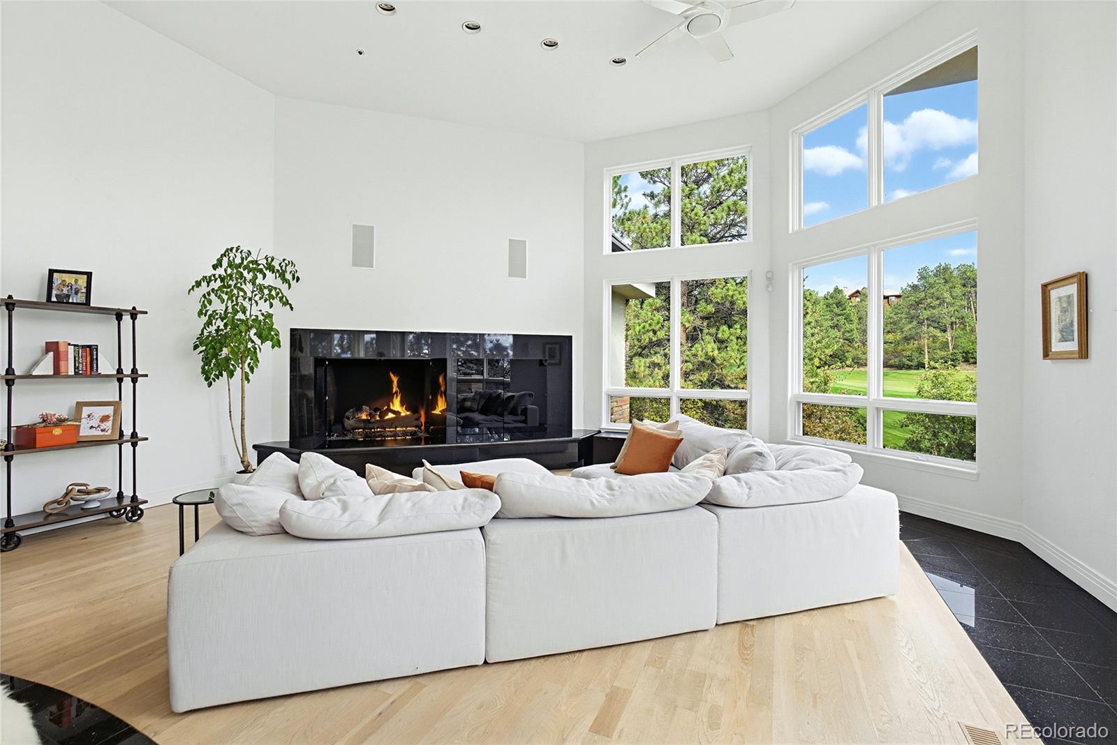 MLS Image #15 for 173  ramshorn drive,castle rock, Colorado