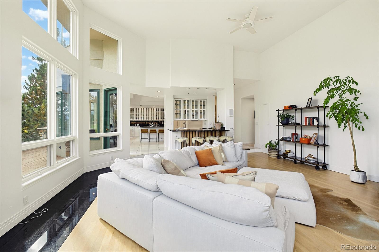 MLS Image #16 for 173  ramshorn drive,castle rock, Colorado