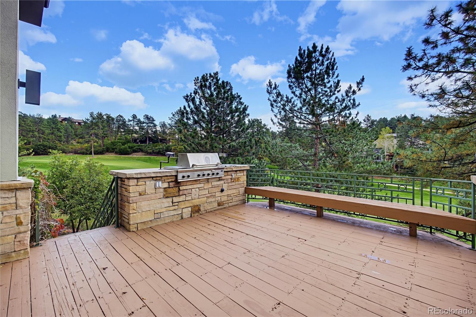 MLS Image #17 for 173  ramshorn drive,castle rock, Colorado