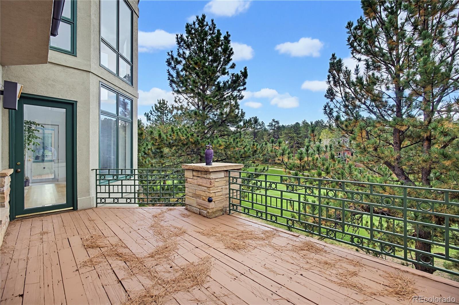 MLS Image #18 for 173  ramshorn drive,castle rock, Colorado