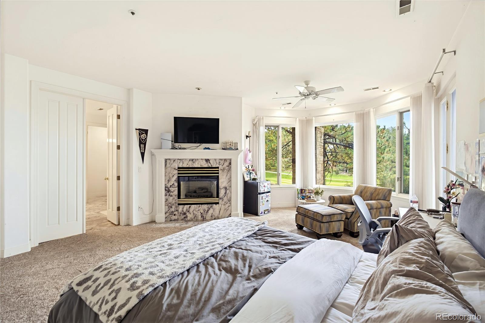 MLS Image #40 for 173  ramshorn drive,castle rock, Colorado
