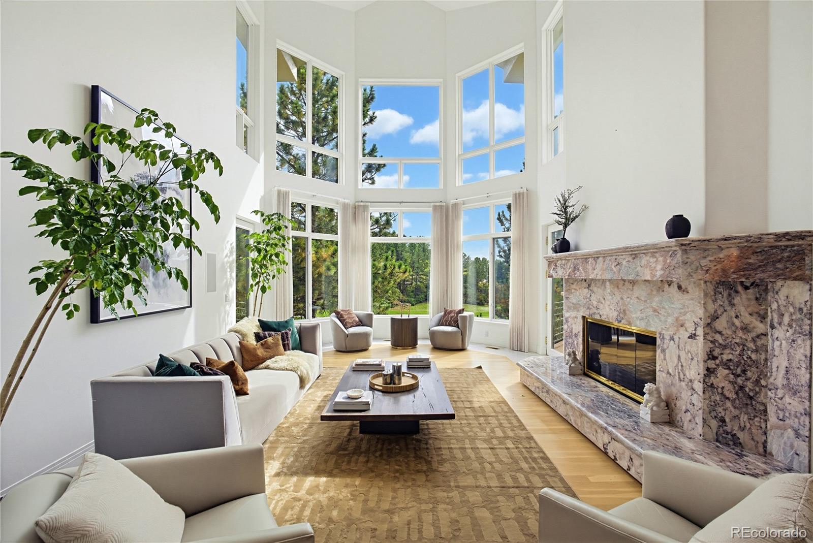 MLS Image #5 for 173  ramshorn drive,castle rock, Colorado