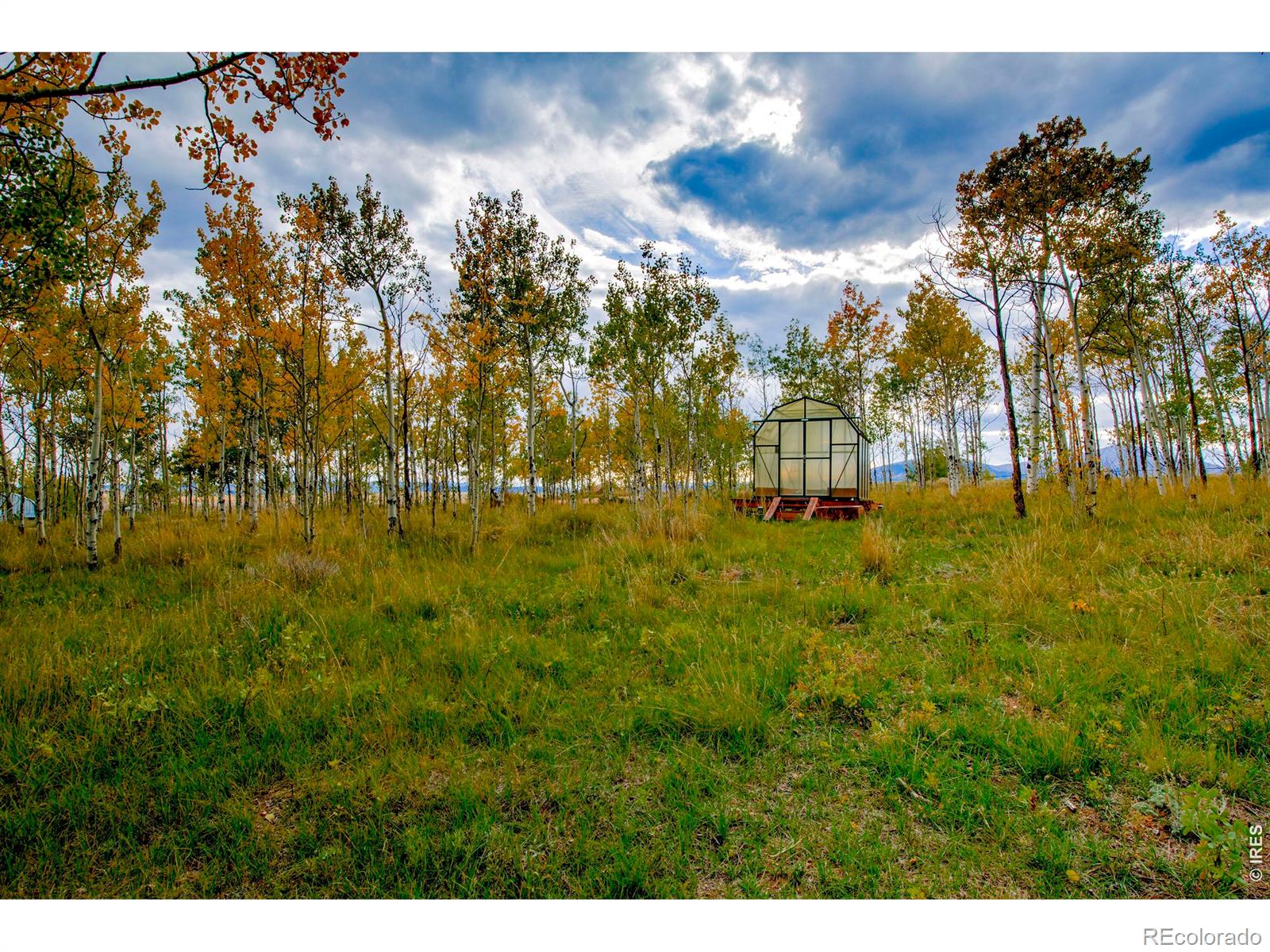 MLS Image #5 for 2883  michigan hill road,jefferson, Colorado