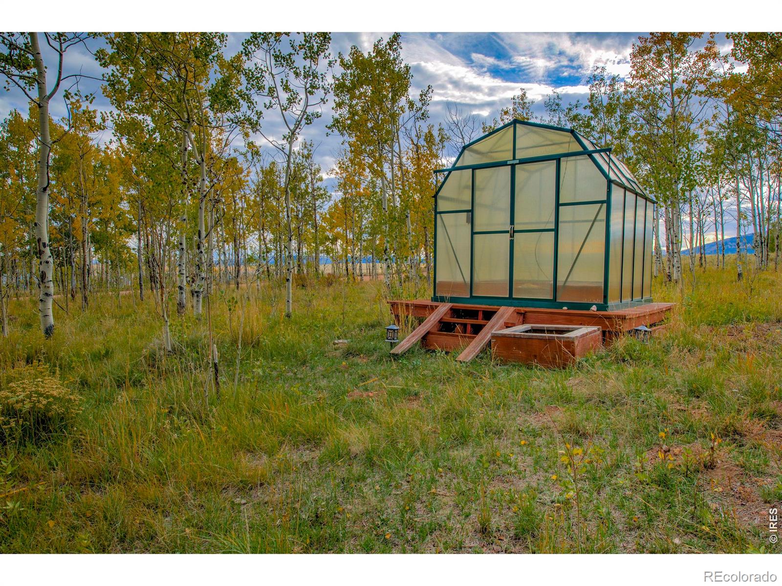 MLS Image #6 for 2883  michigan hill road,jefferson, Colorado