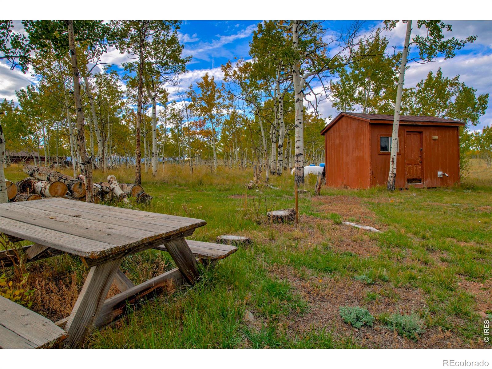 MLS Image #7 for 2883  michigan hill road,jefferson, Colorado
