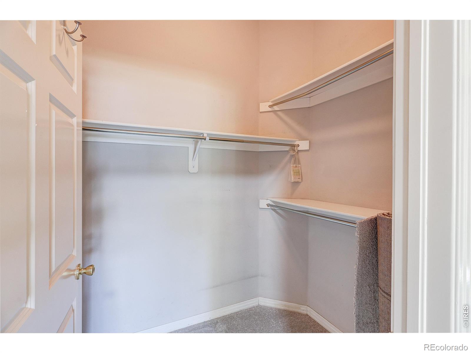 MLS Image #13 for 2025  mathews street,fort collins, Colorado