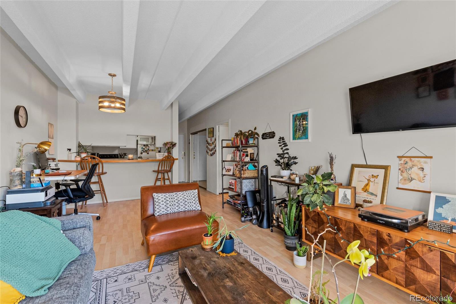 MLS Image #1 for 1265  elizabeth street,denver, Colorado