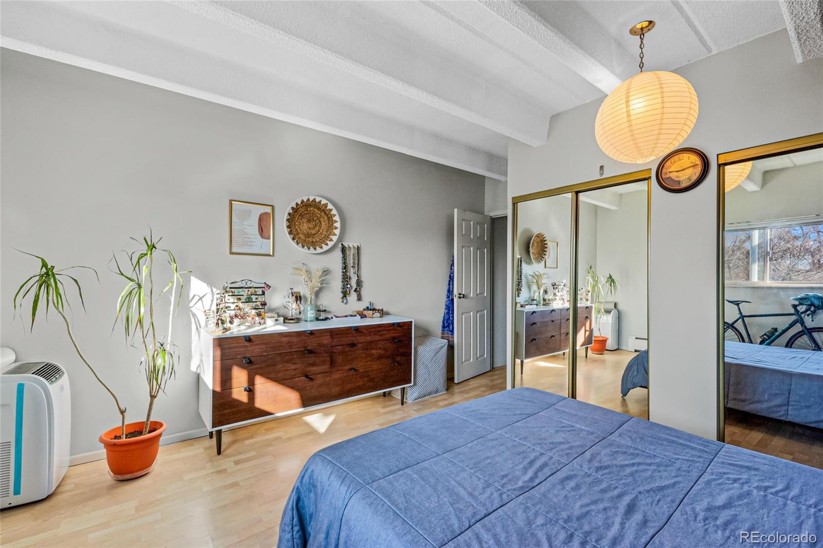 MLS Image #10 for 1265  elizabeth street,denver, Colorado
