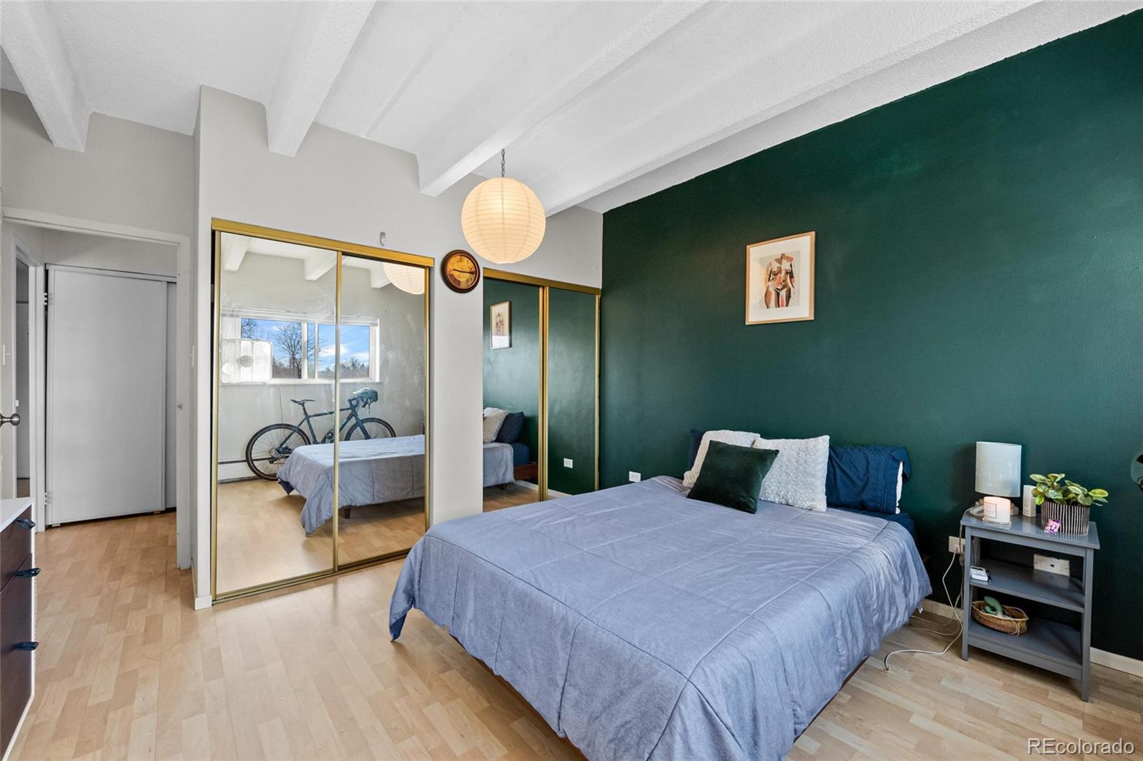 MLS Image #11 for 1265  elizabeth street,denver, Colorado