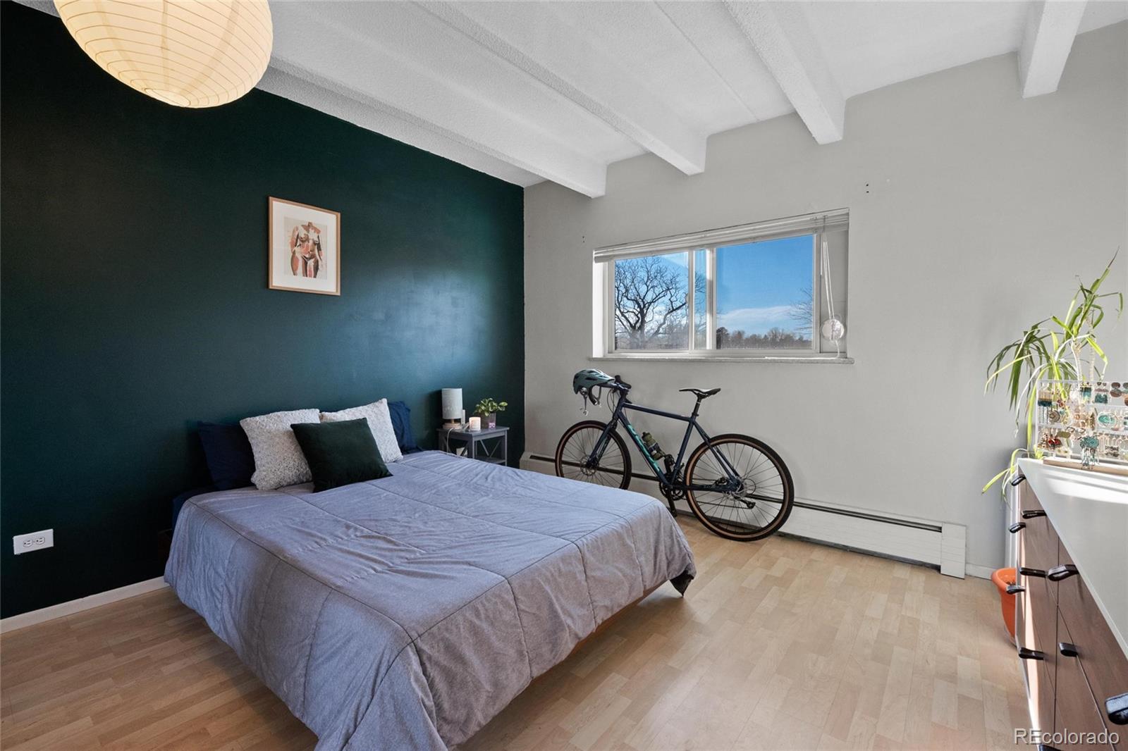 MLS Image #12 for 1265  elizabeth street,denver, Colorado