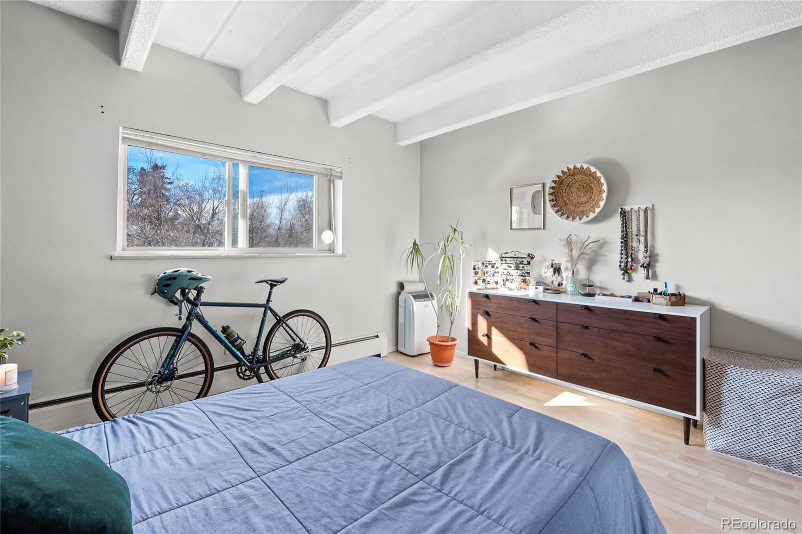 MLS Image #13 for 1265  elizabeth street,denver, Colorado