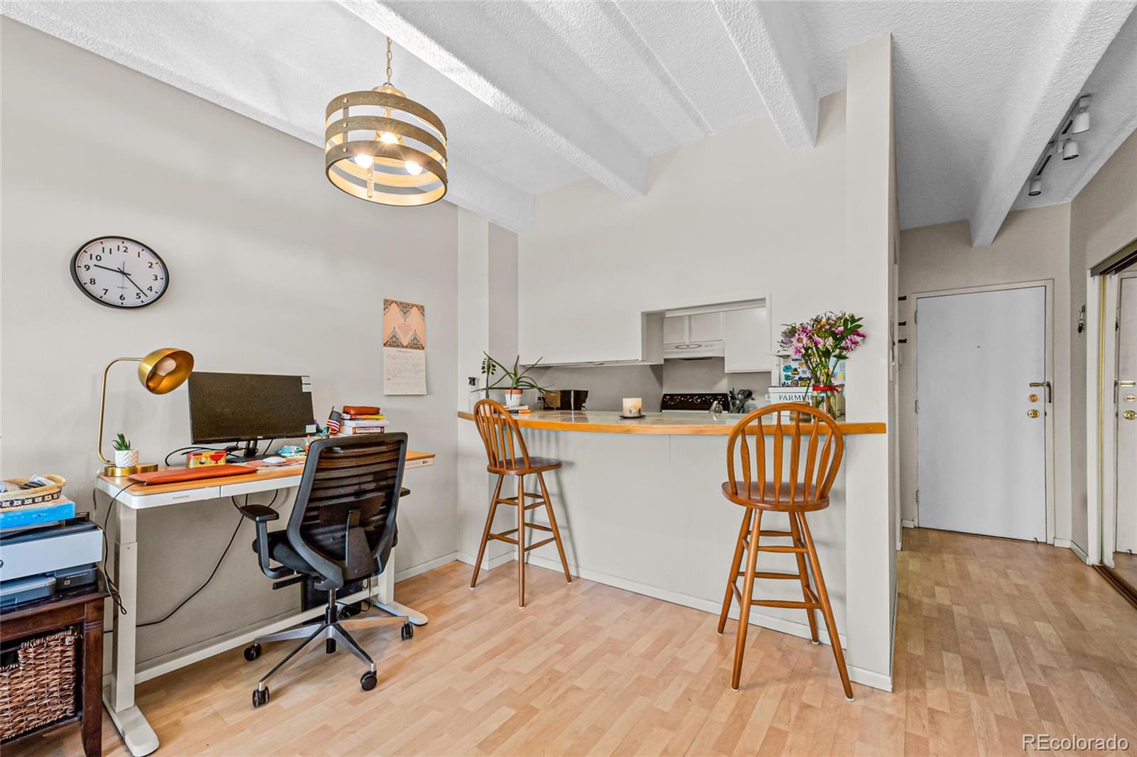 MLS Image #4 for 1265  elizabeth street,denver, Colorado