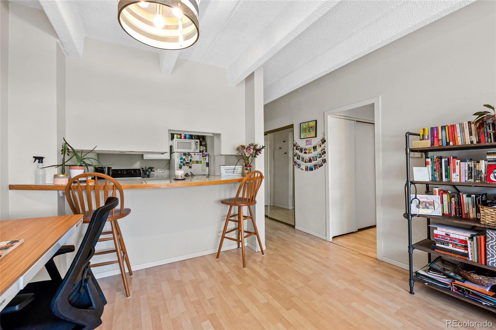 MLS Image #5 for 1265  elizabeth street,denver, Colorado