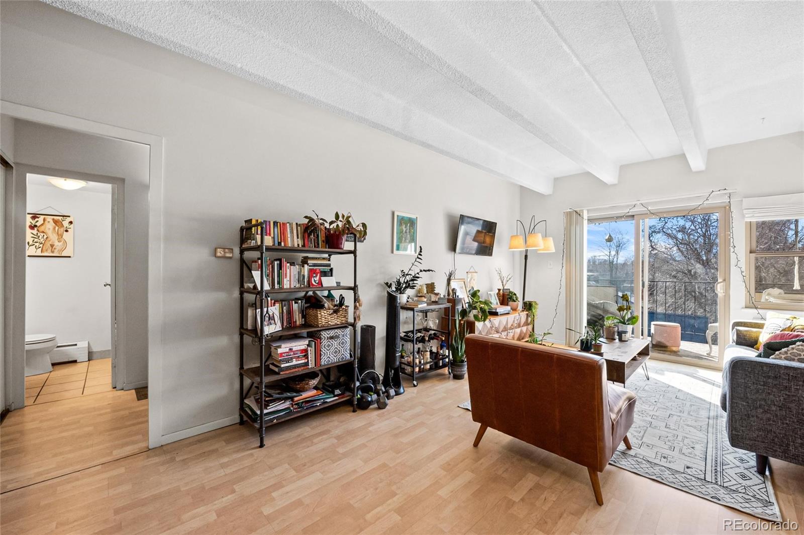 MLS Image #6 for 1265  elizabeth street,denver, Colorado