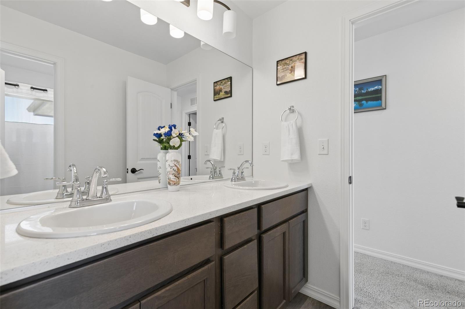 MLS Image #22 for 8937  bugaboo drive,colorado springs, Colorado