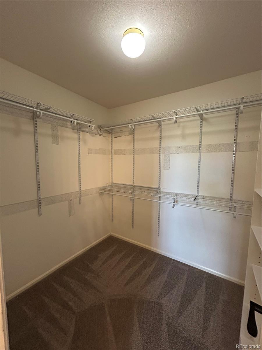 MLS Image #24 for 4444  decatur avenue,castle rock, Colorado