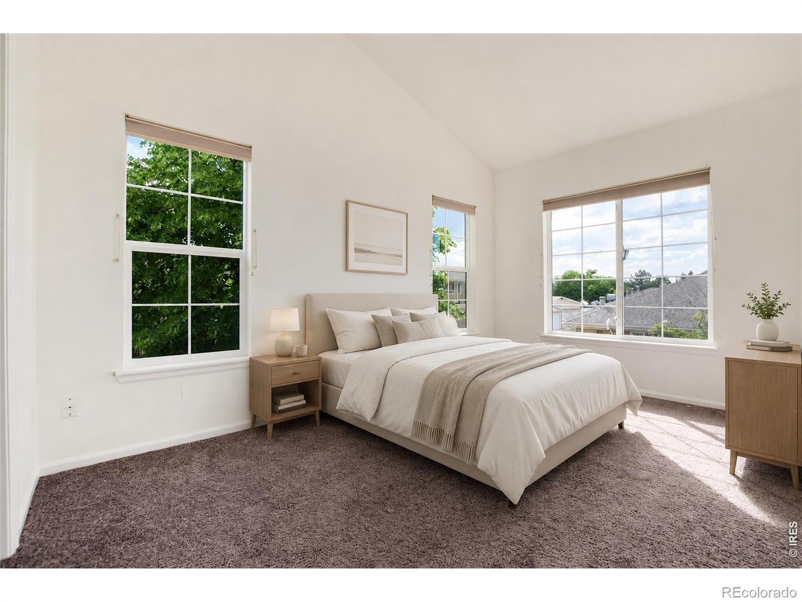 MLS Image #10 for 8415  stonybridge circle,highlands ranch, Colorado