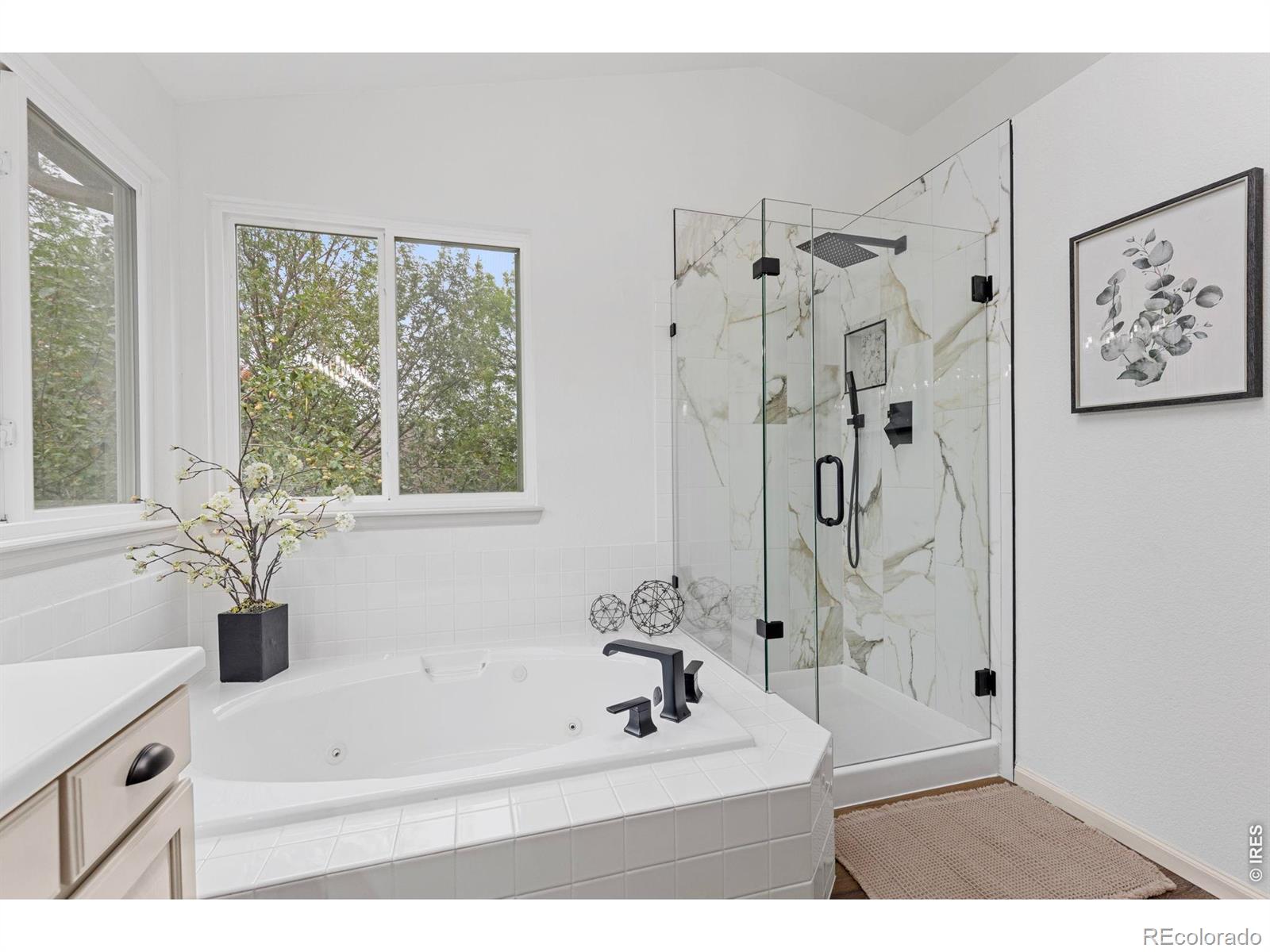 MLS Image #19 for 561 w willow court,louisville, Colorado