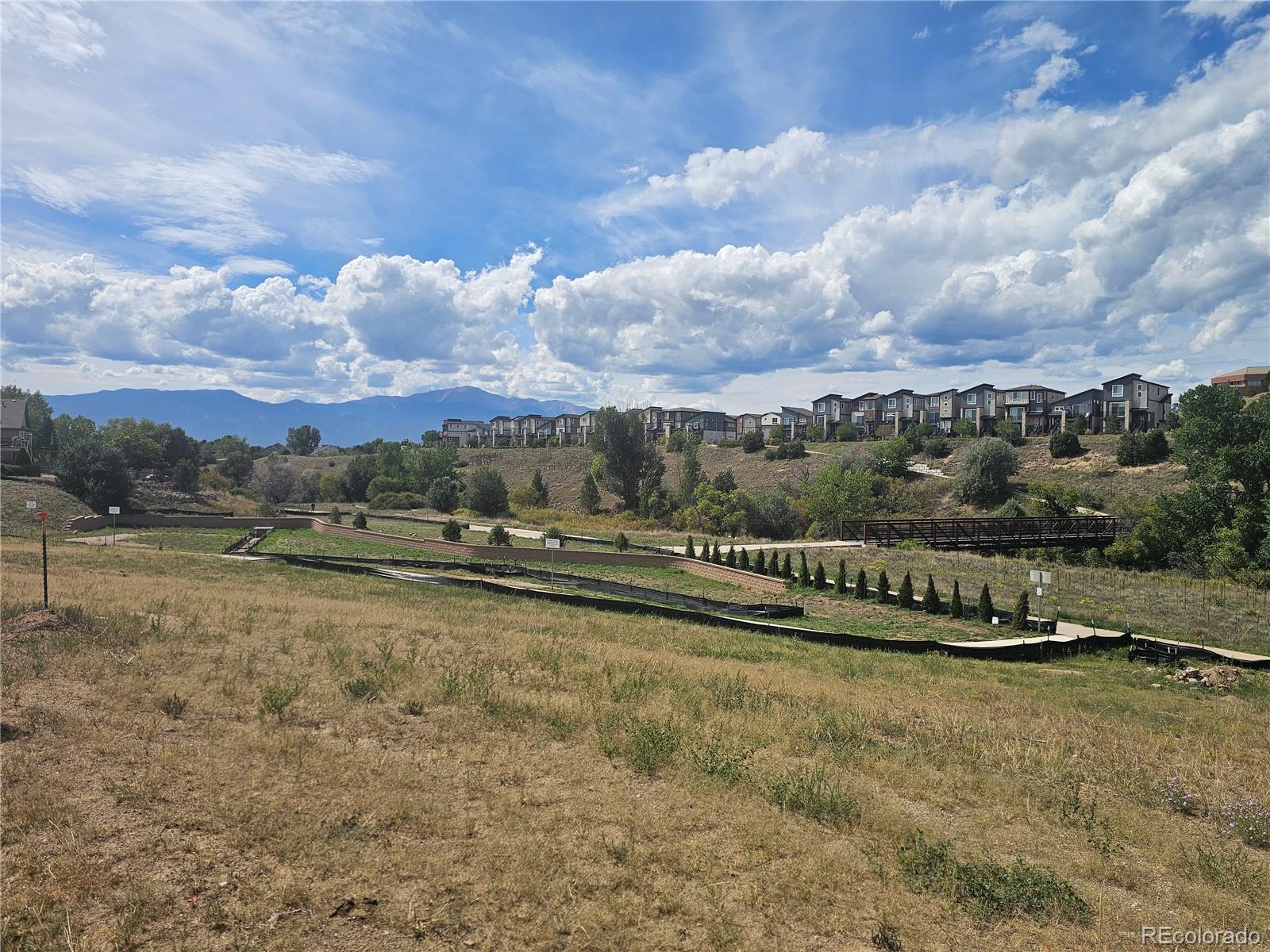 MLS Image #5 for 6835  shimmering moon lane,colorado springs, Colorado