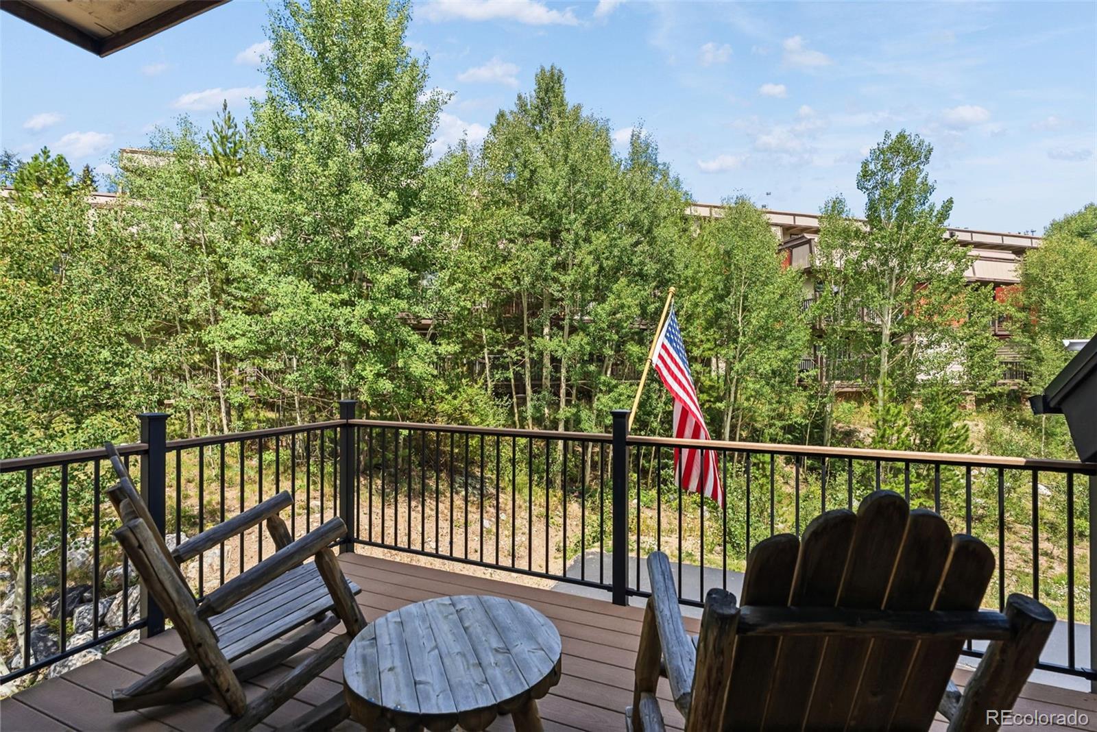 MLS Image #17 for 65  river park drive,breckenridge, Colorado