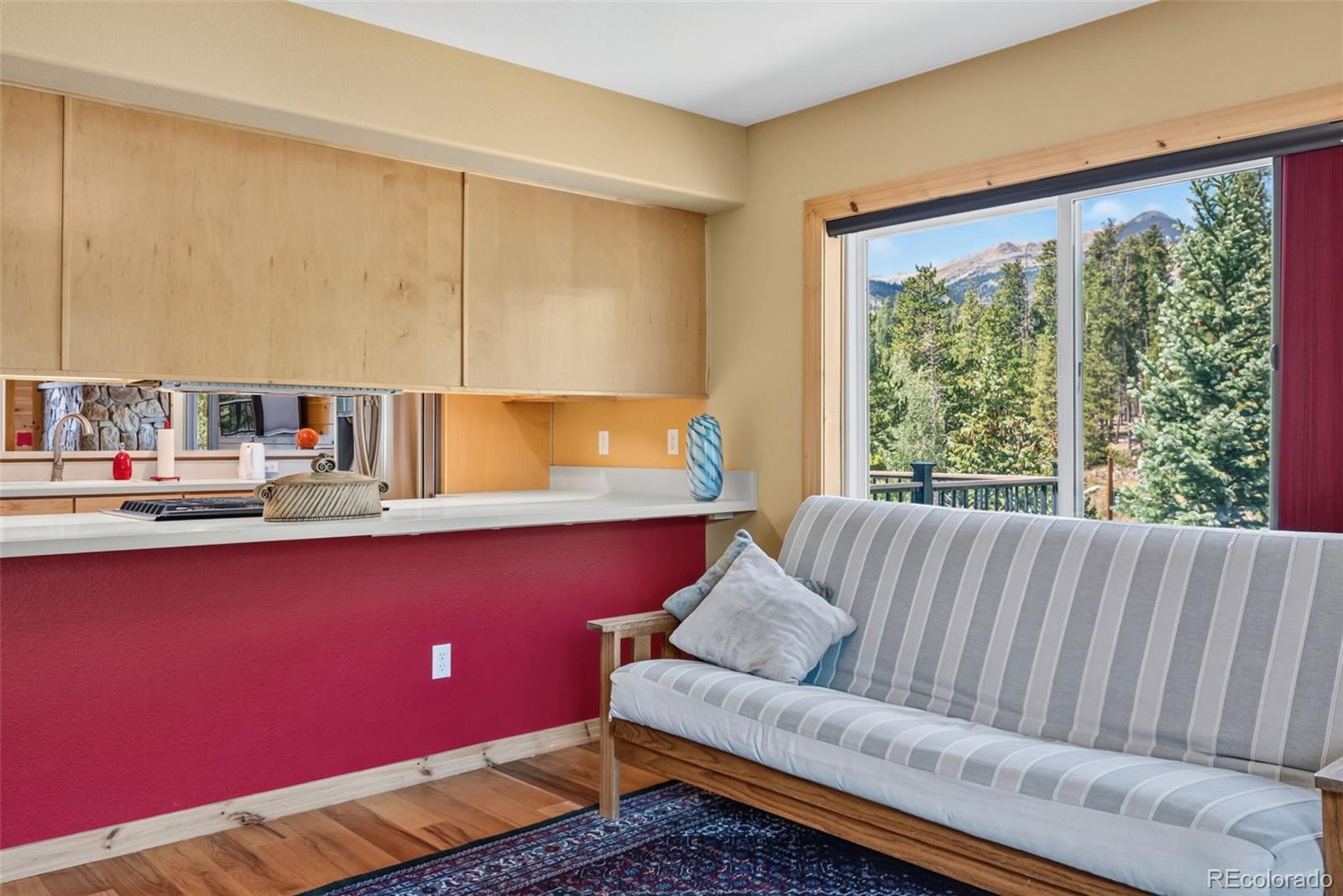 MLS Image #20 for 65  river park drive,breckenridge, Colorado