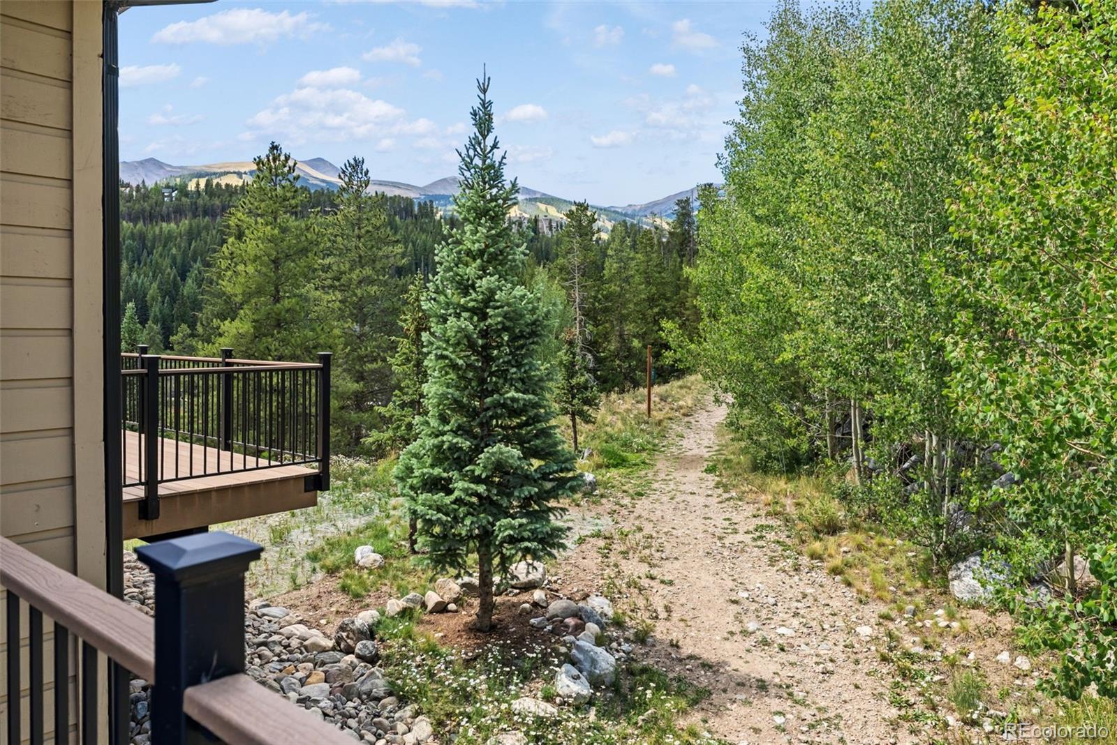 MLS Image #23 for 65  river park drive,breckenridge, Colorado