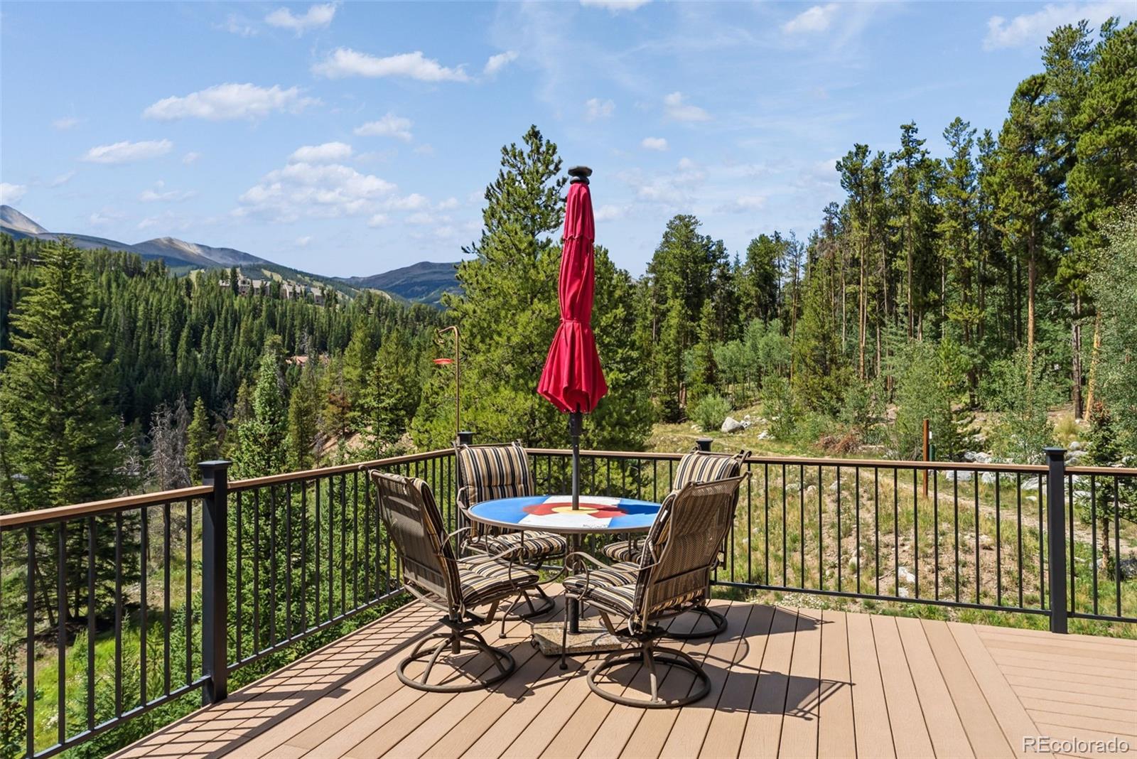 MLS Image #25 for 65  river park drive,breckenridge, Colorado