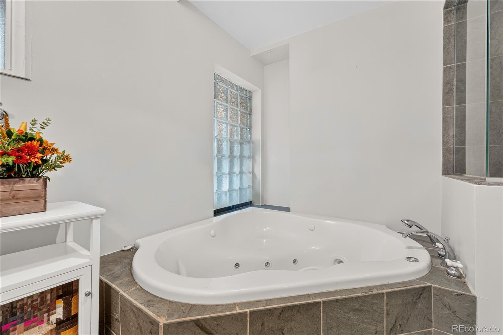 MLS Image #21 for 3183 s columbine street,denver, Colorado