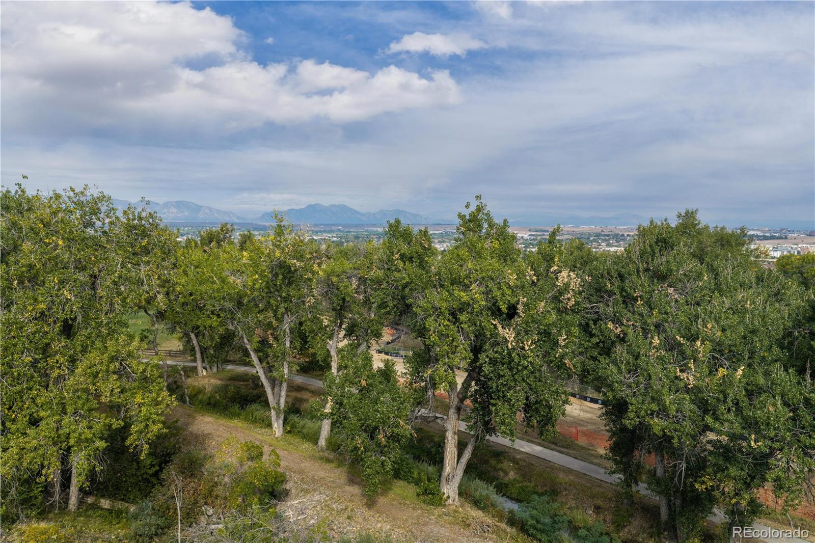 MLS Image #46 for 9884  reed street,westminster, Colorado