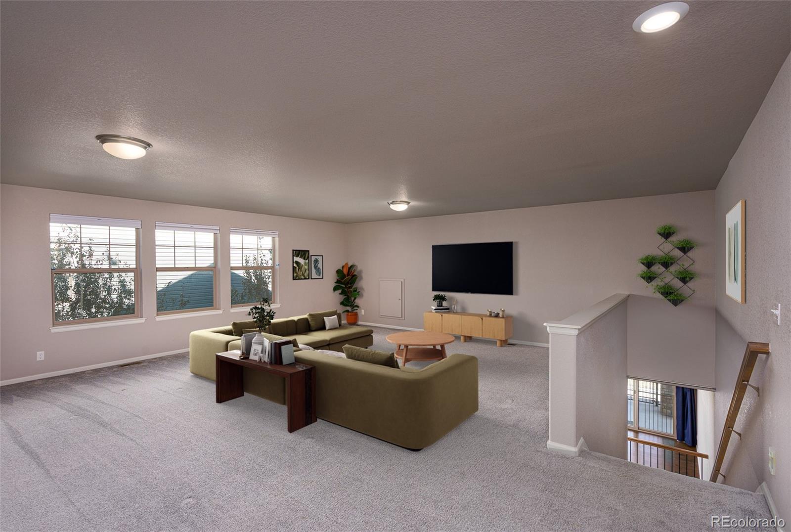 MLS Image #31 for 4976  malaya street,denver, Colorado