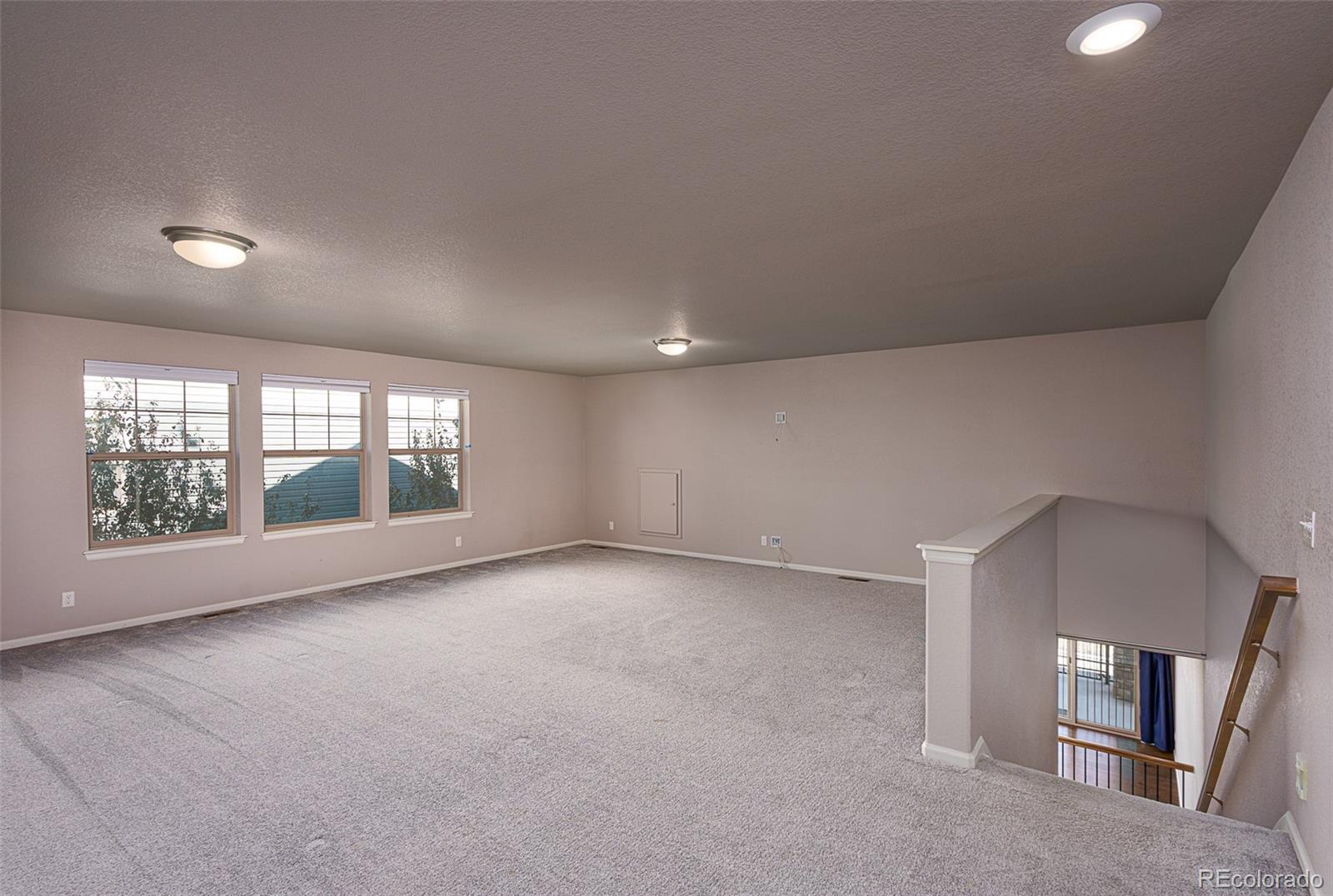 MLS Image #32 for 4976  malaya street,denver, Colorado