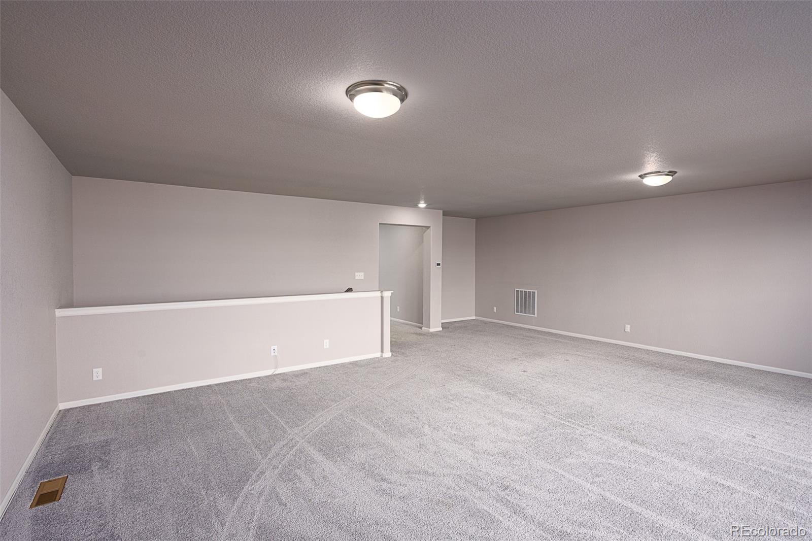 MLS Image #33 for 4976  malaya street,denver, Colorado
