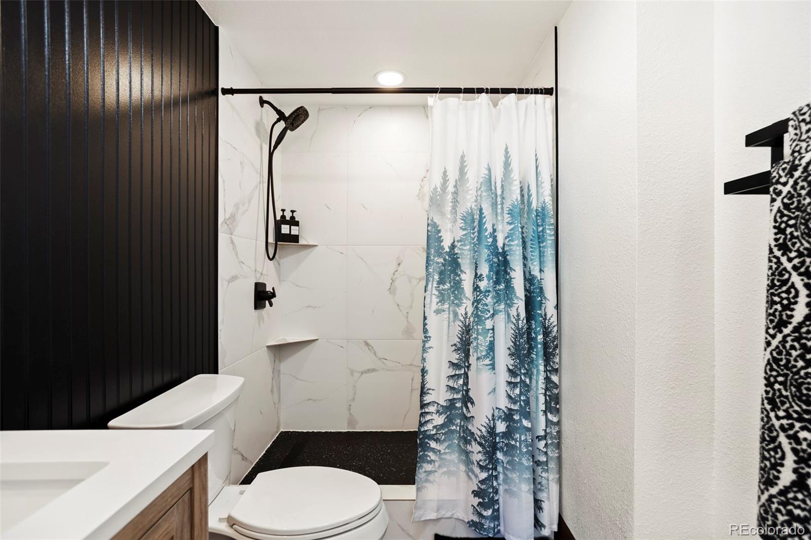 MLS Image #11 for 22174  us highway 6 ,keystone, Colorado