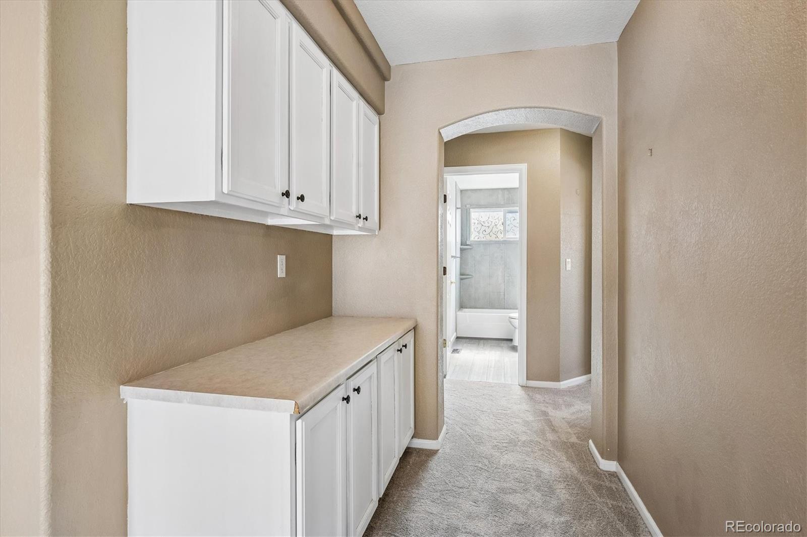MLS Image #24 for 9647  adelaide circle,highlands ranch, Colorado
