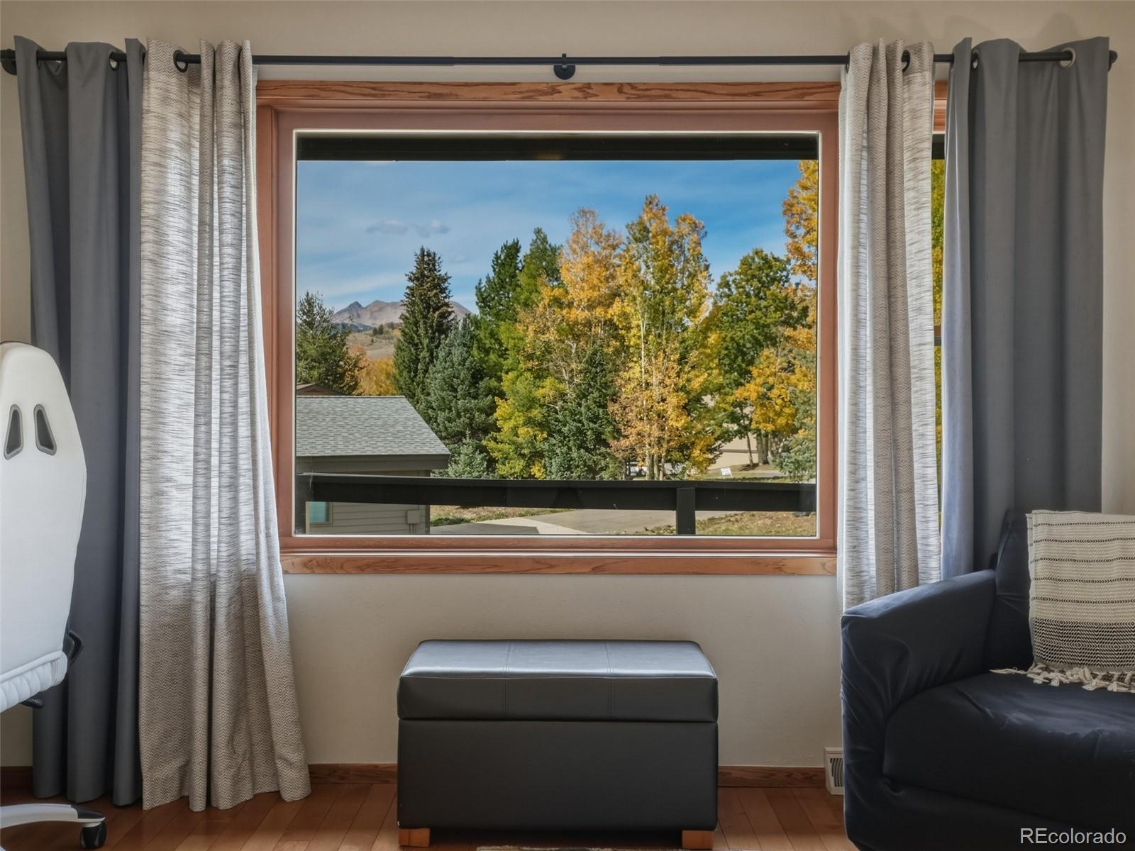 MLS Image #13 for 1294  straight creek drive,dillon, Colorado