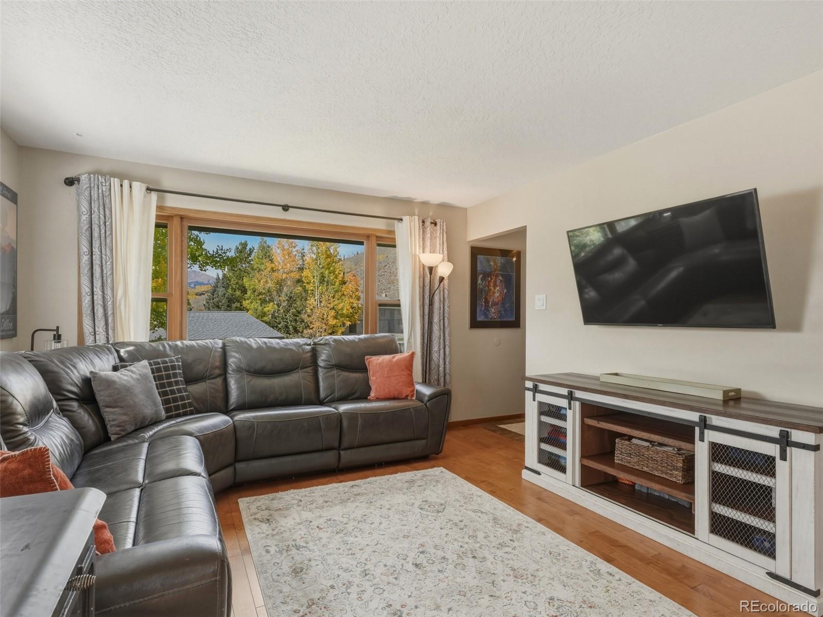 MLS Image #15 for 1294  straight creek drive,dillon, Colorado