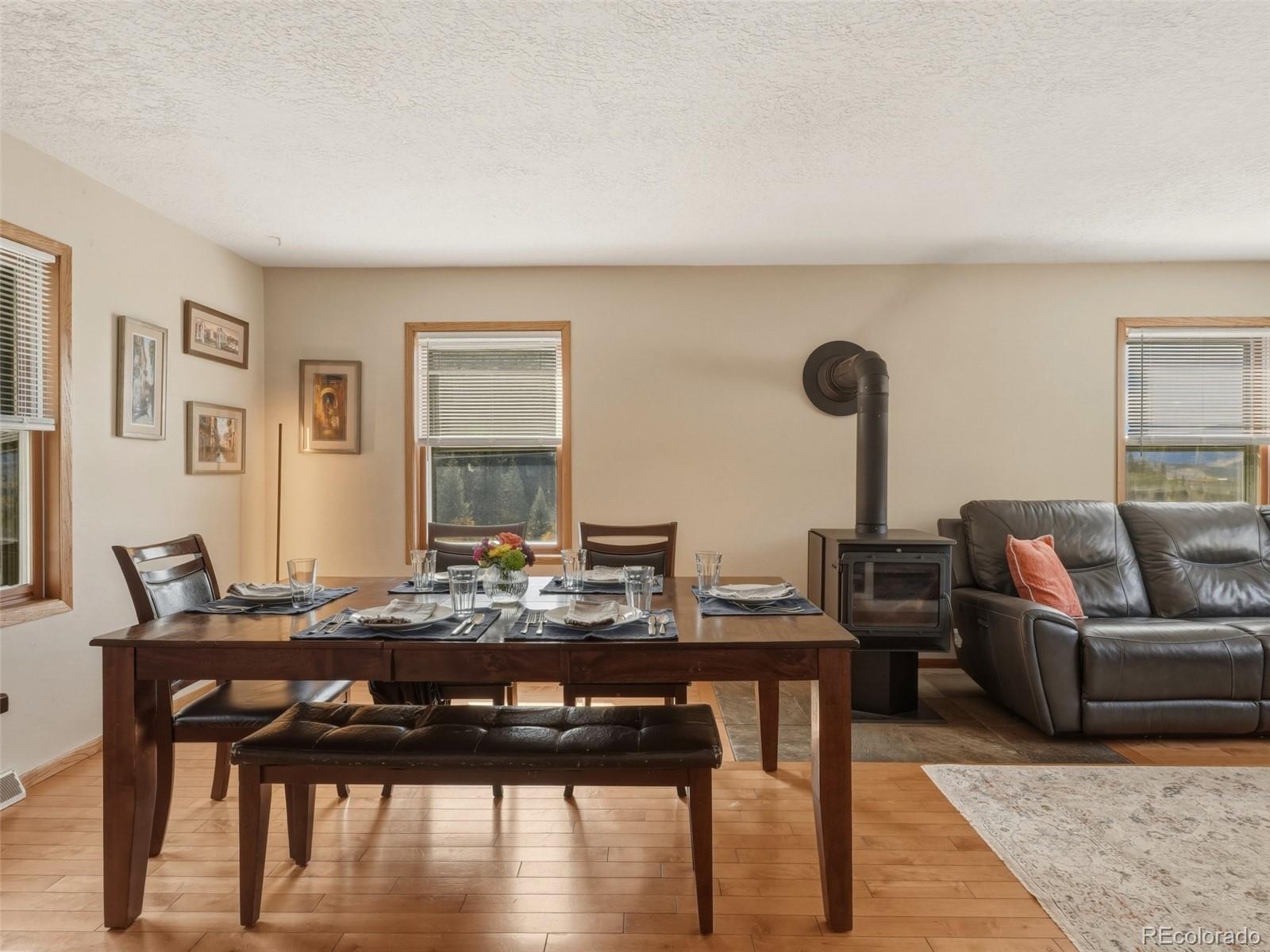 MLS Image #16 for 1294  straight creek drive,dillon, Colorado