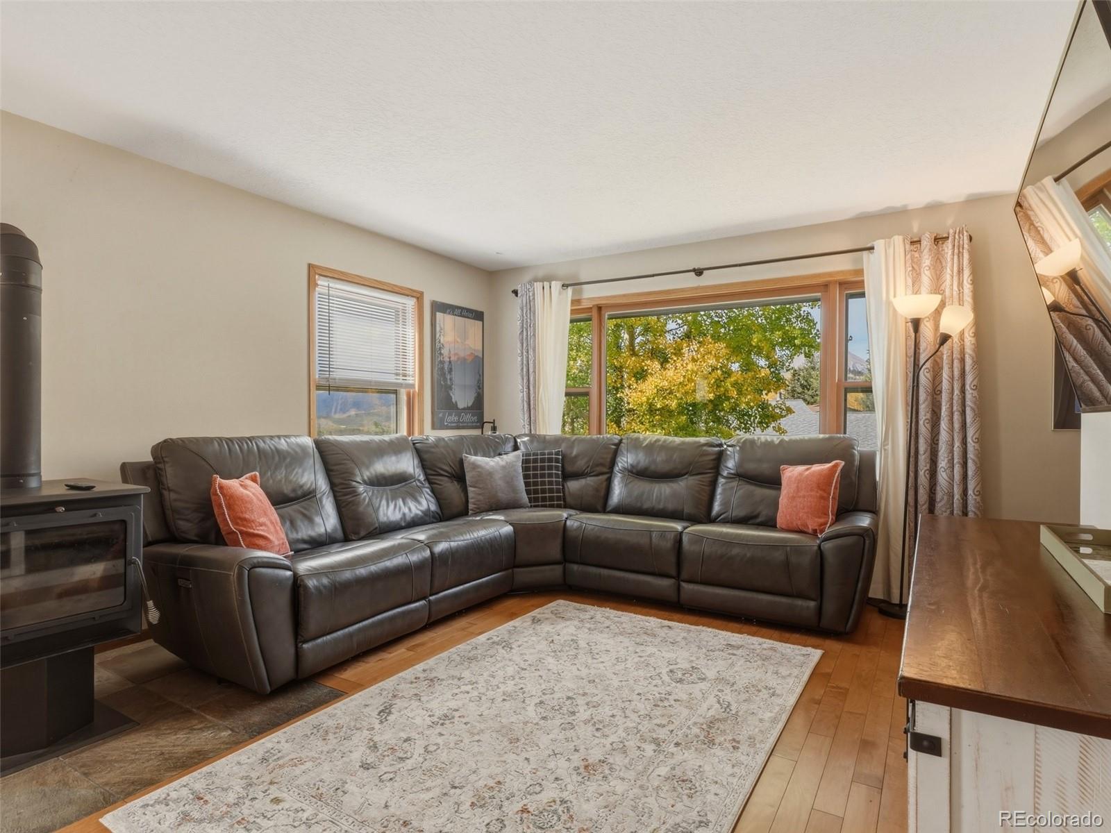 MLS Image #2 for 1294  straight creek drive,dillon, Colorado