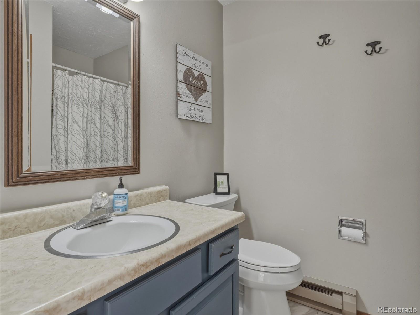 MLS Image #24 for 1294  straight creek drive,dillon, Colorado