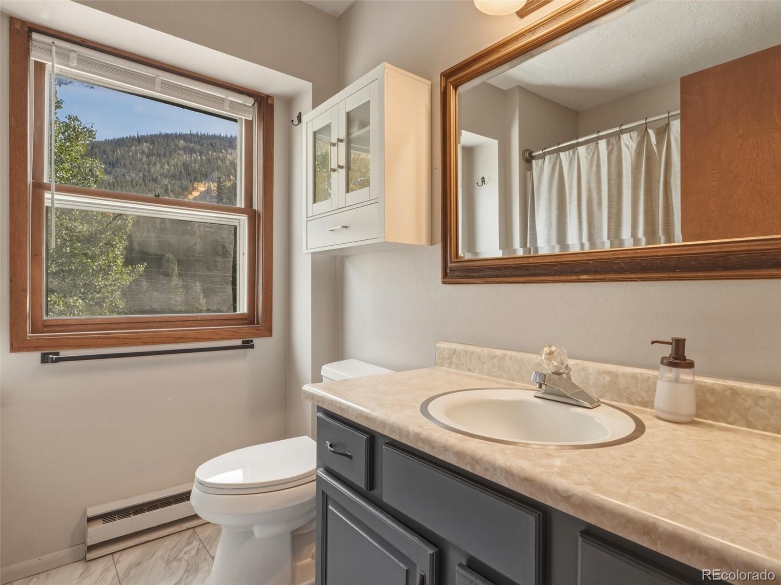 MLS Image #27 for 1294  straight creek drive,dillon, Colorado