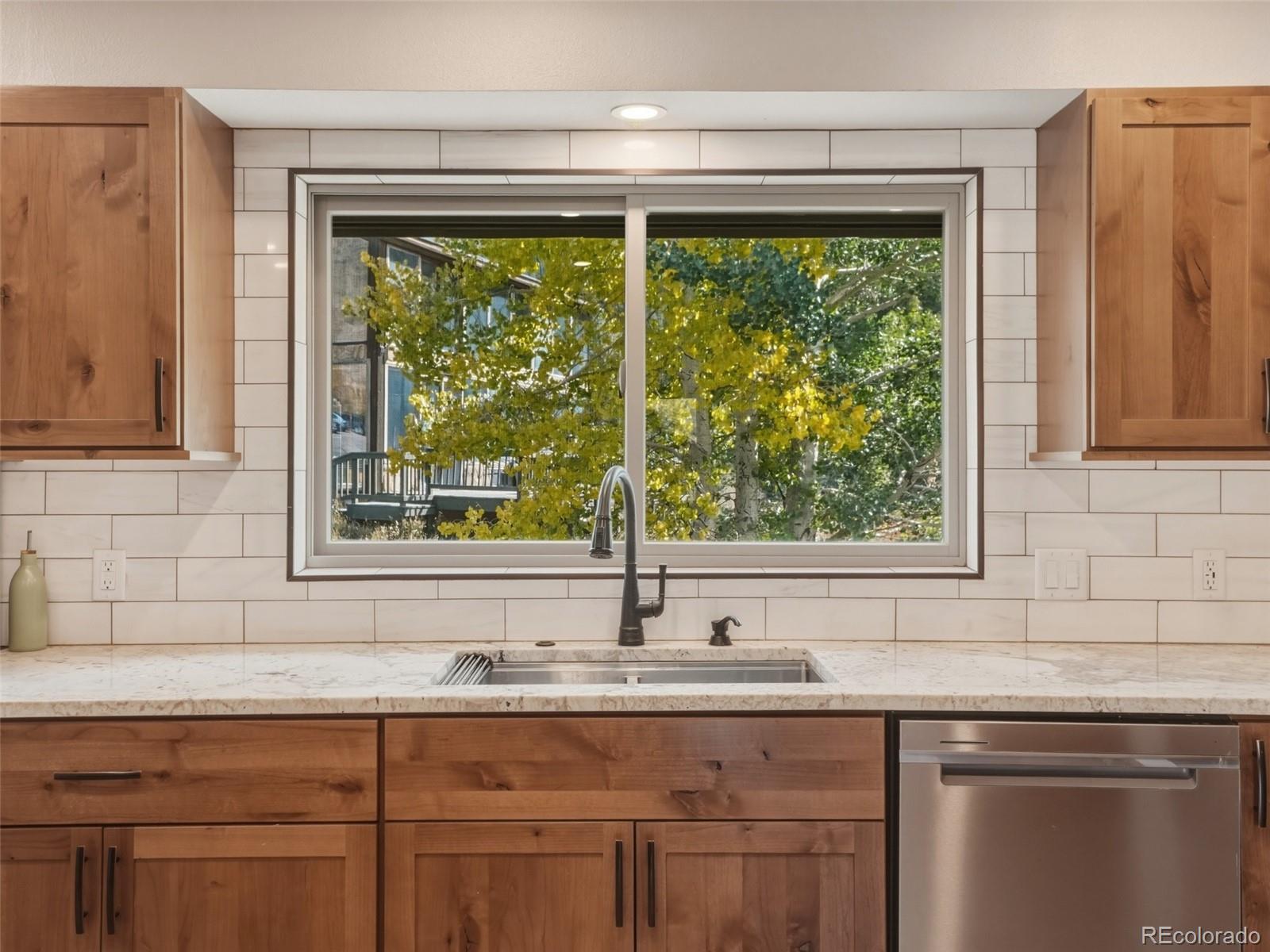 MLS Image #3 for 1294  straight creek drive,dillon, Colorado