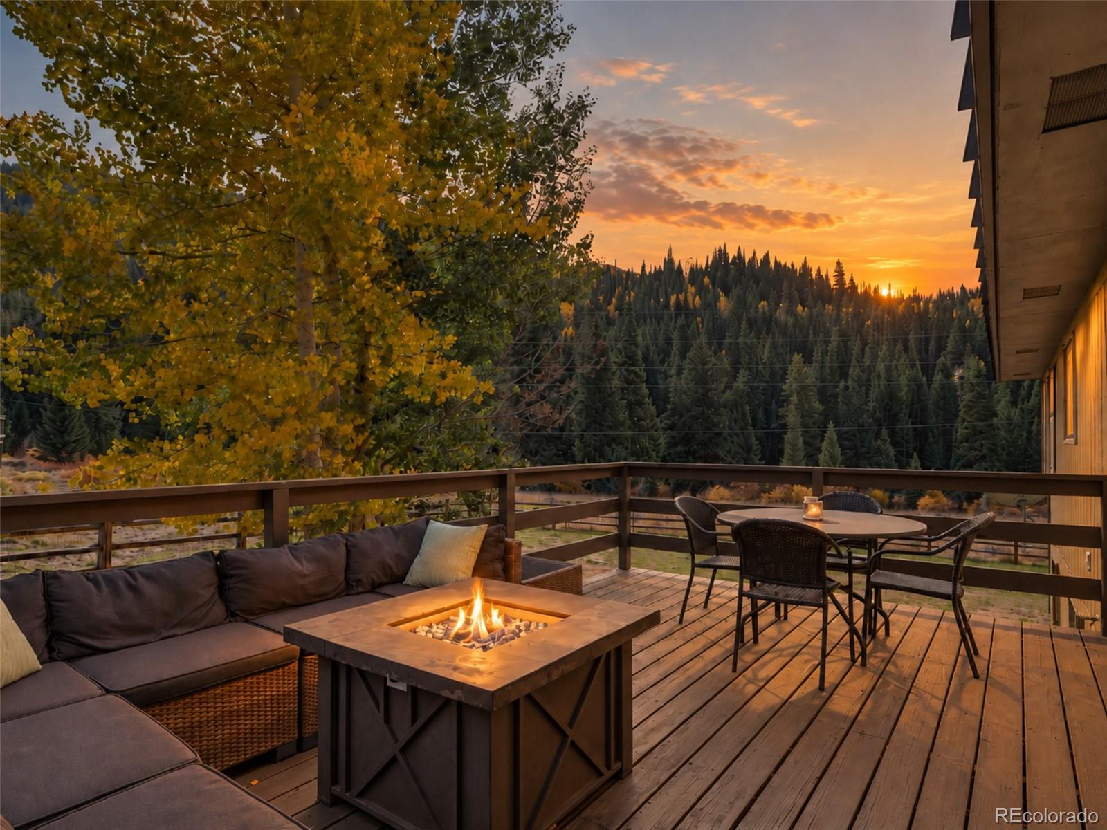 MLS Image #4 for 1294  straight creek drive,dillon, Colorado